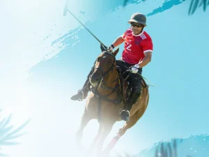 polo cimerlik
